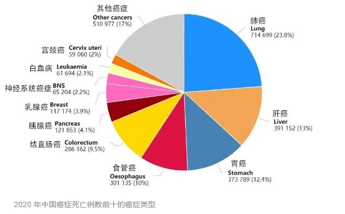 肠镜检查：麻烦一阵子，幸福一辈子