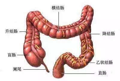 肠镜检查：麻烦一阵子，幸福一辈子