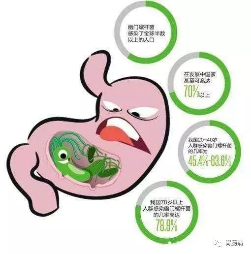 正确认识幽门螺杆菌