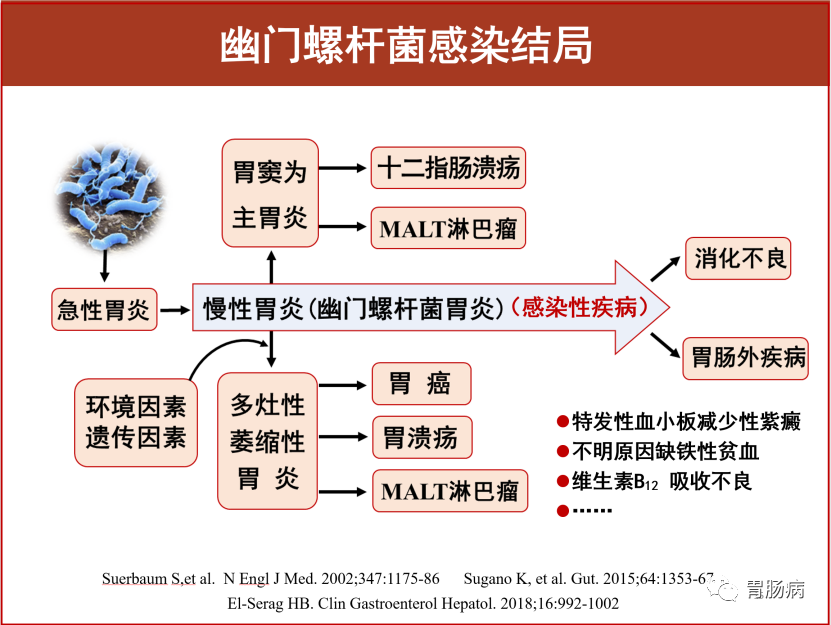 幽门螺杆菌的八个认识