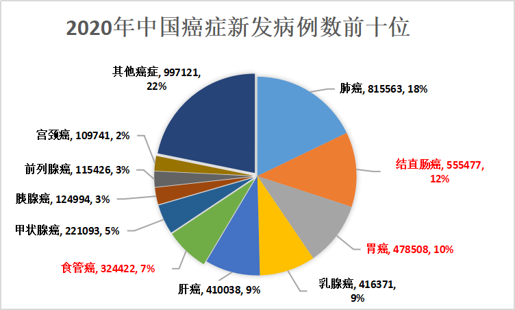 小镜子，大作用——胃肠镜检查让健康与舒适同行