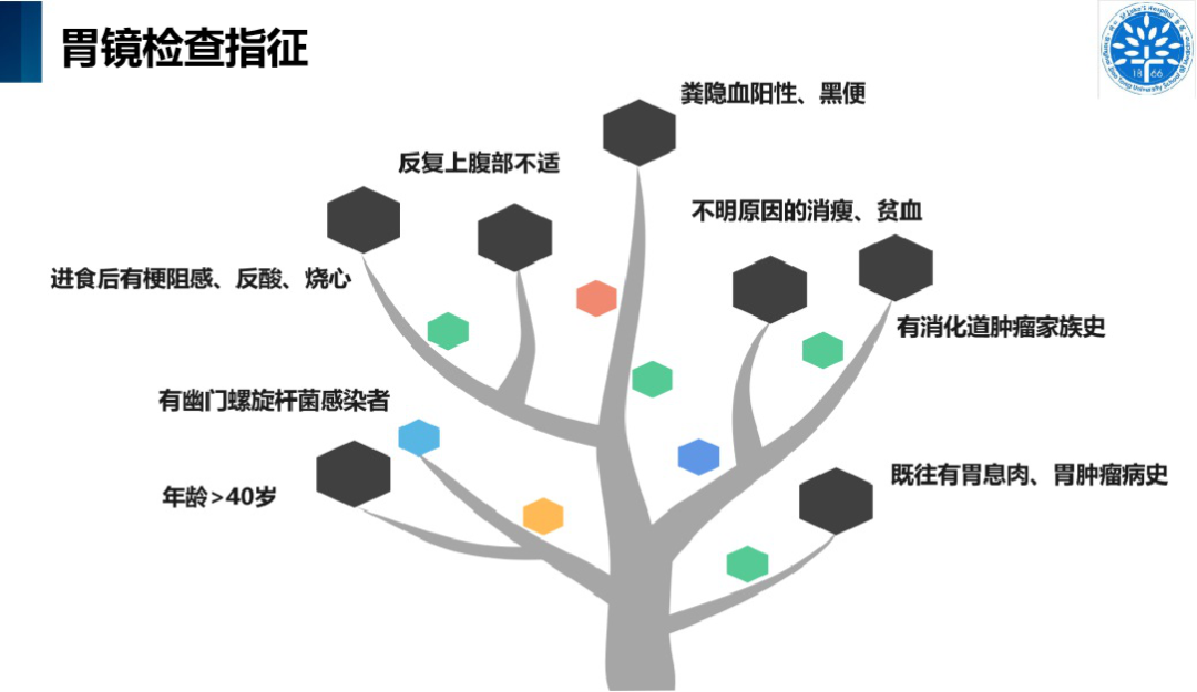 小镜子，大作用——胃肠镜检查让健康与舒适同行