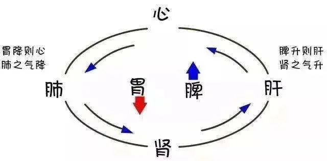 70%的胃肠疾病与情绪有关！坏情绪比你想象的更可怕！