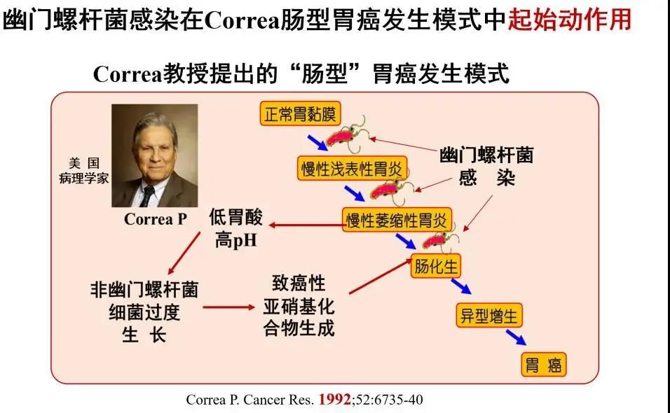 胃癌的一级致癌原——幽门螺杆菌，医生教你怎么检查和治疗