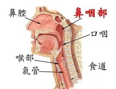 反酸、烧心、胸骨疼？5招教你缓解这些症状!