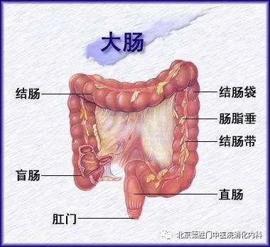 结肠炎在身体的哪个部位会痛?