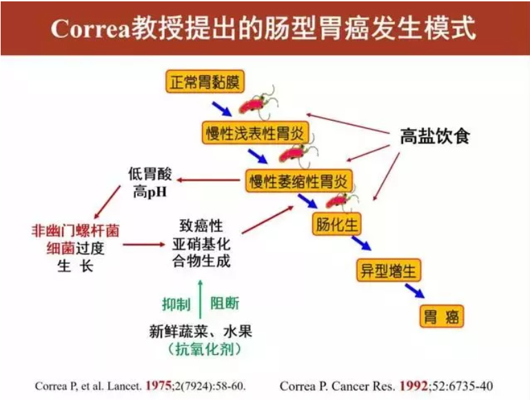 科普丨慢性胃炎不控制，真有可能变胃癌——医生教你急刹车