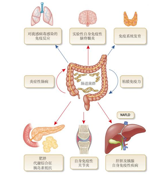 肚子总是胀气不舒服?不妨试试这样做！