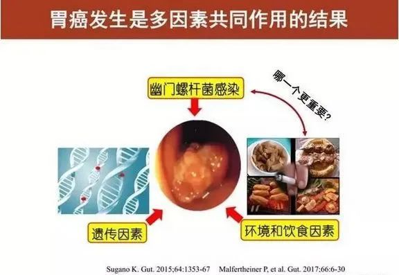 根除幽门螺杆菌预防胃癌——阶段不同，受益不同！