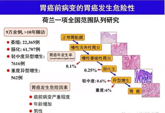 根除幽门螺杆菌预防胃癌——阶段不同，受益不同！