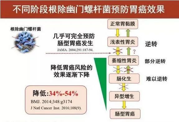 根除幽门螺杆菌预防胃癌——阶段不同，受益不同！