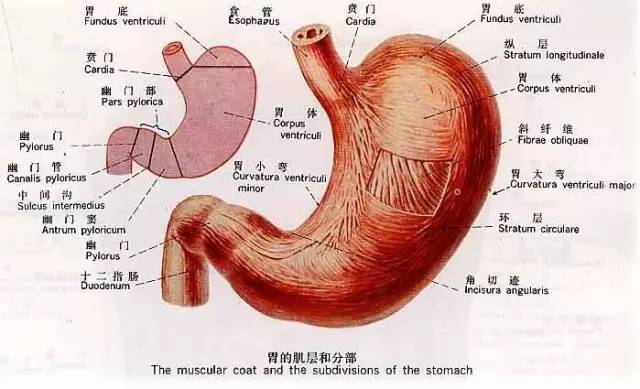 济源肠胃镜