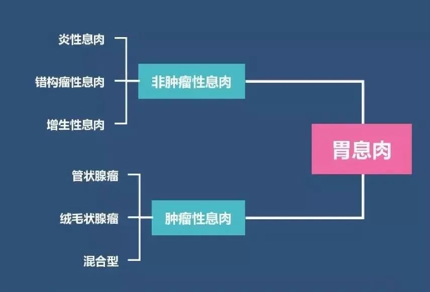 会癌变的几种胃息肉，来看看他们的真实面目！