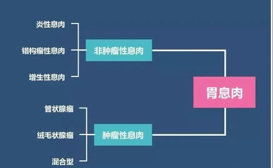 惊！35岁女性患者胃内密密麻麻长了100多枚息肉……