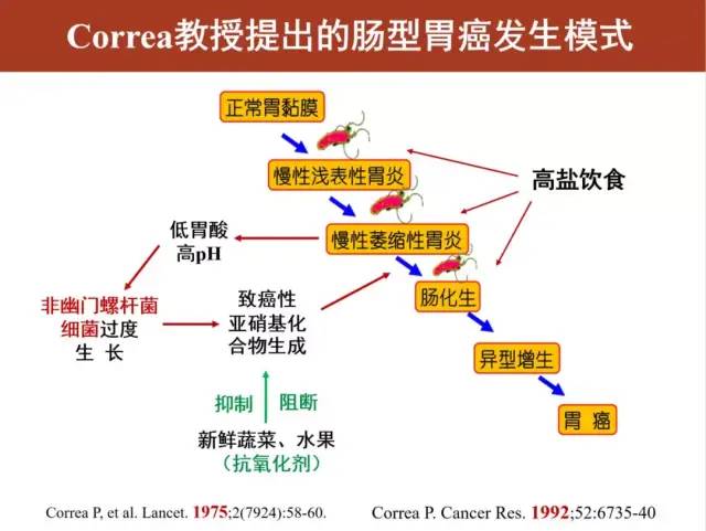 萎缩性胃炎，如何防止癌变？——听听消化科医生怎么说