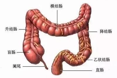 预防结直肠癌，筛查要趁早！