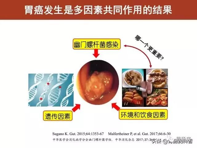 在浅表性胃炎阶段，根除幽门螺杆菌，几乎可100%预防肠型胃癌