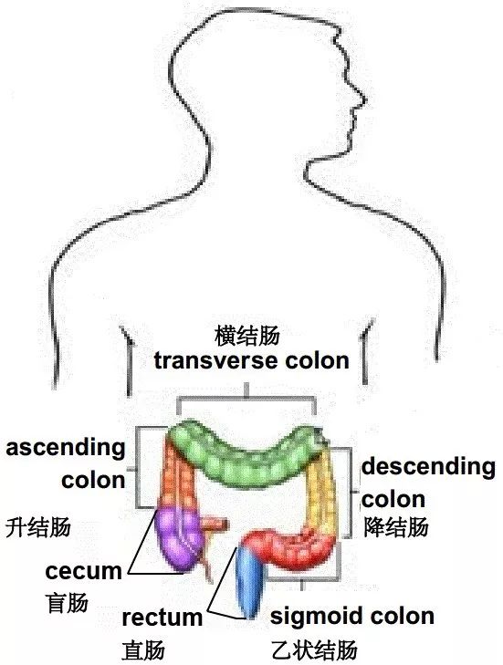 【科普】结直肠癌喜好这群人，你中招了吗？