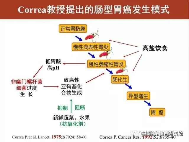 胃炎会发展为胃癌吗？不闯红灯就没事！