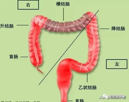 假如我没有坚持，这个肠癌就可能漏诊了！——便血，可别轻易当痔疮