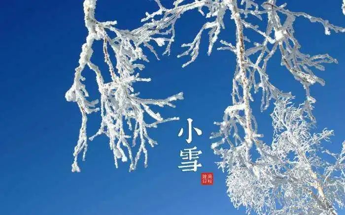 养生知识|二十四节气养生——小雪