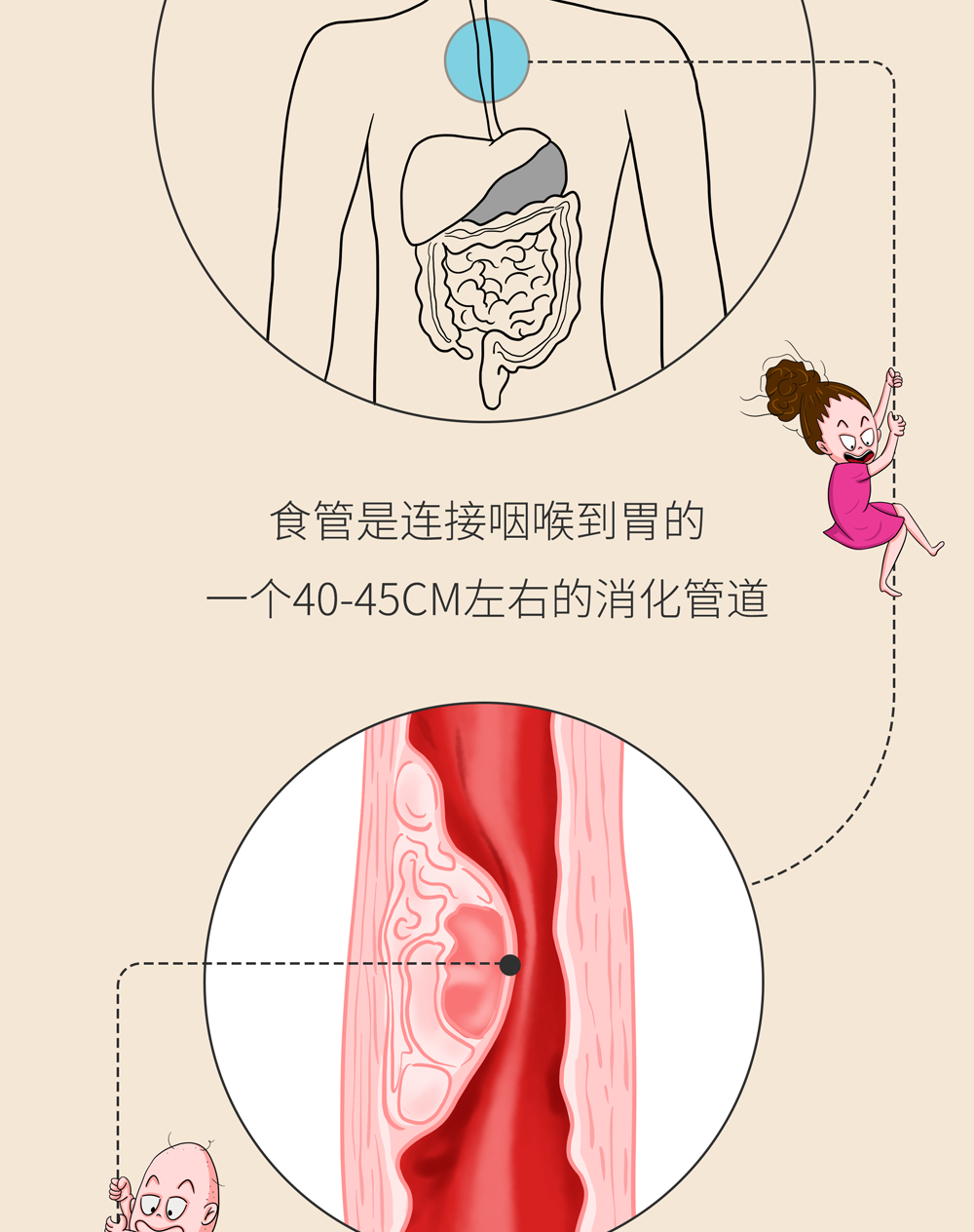 趁热吃、趁热喝，真的会致癌么？