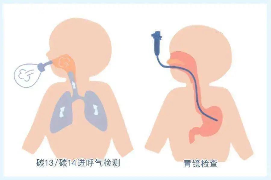 科普丨连续3天4次热搜，感染了 8 亿中国人的细菌！