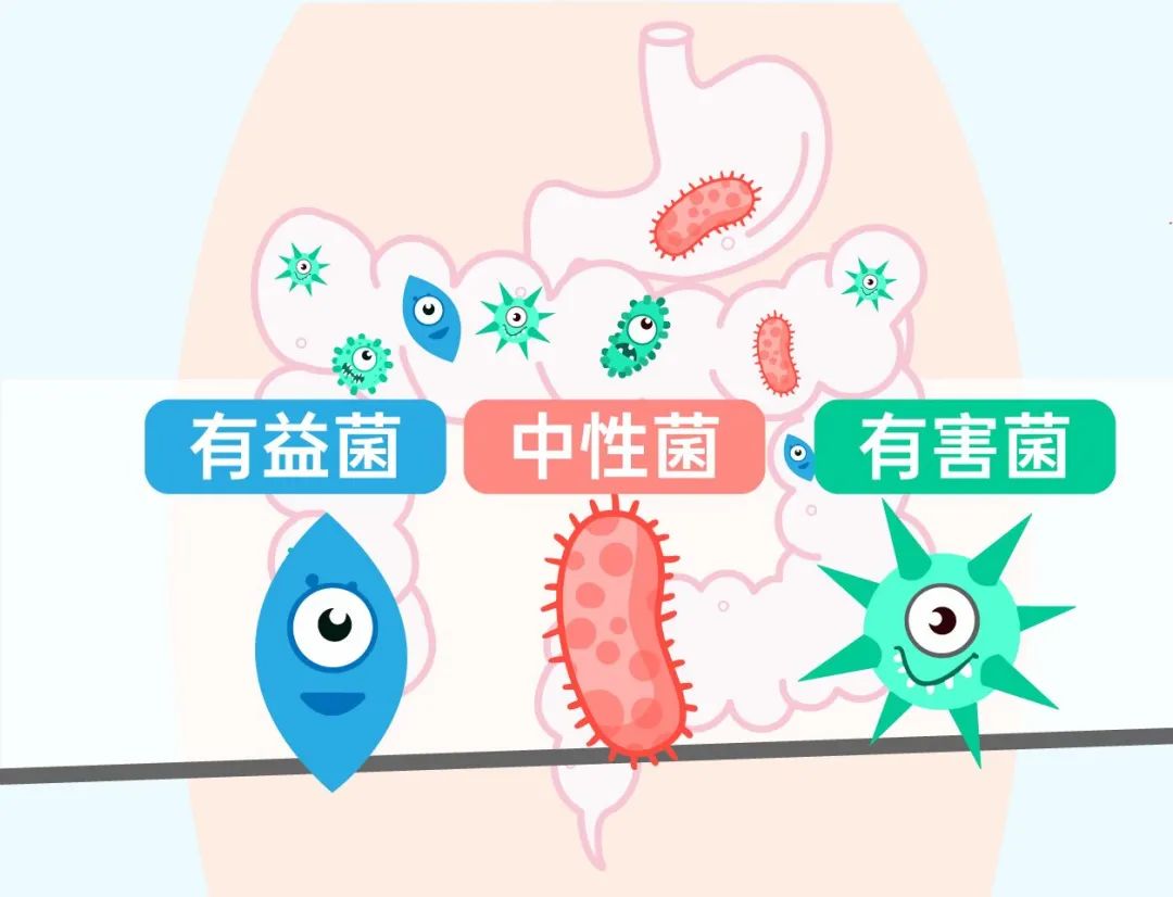 肠胃不适的8种常见原因，你属于哪种？