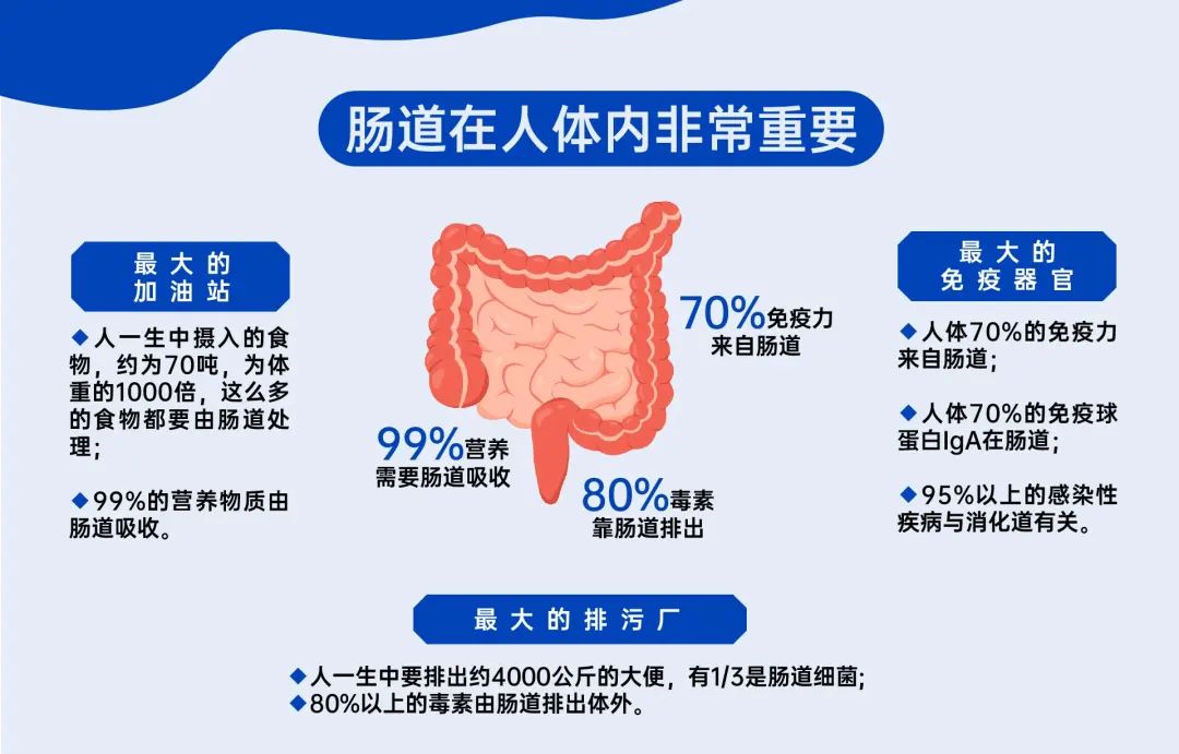 肠胃不适的8种常见原因，你属于哪种？