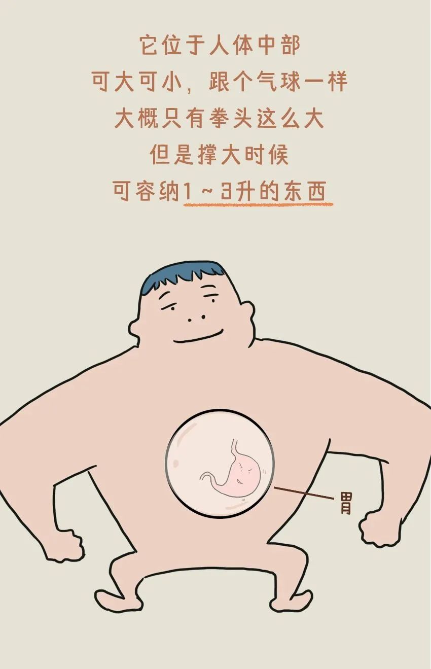 胃癌，是如何产生的？