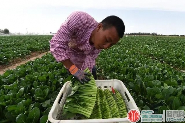 消化科医生提醒：这3类蔬菜，倒贴钱也别吃，下次买菜要注意