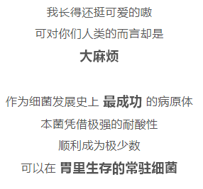 幽门螺杆菌的自白：感染了 8 亿中国人，我是你最该了解的细菌！