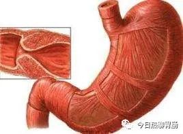 胃病来临，吃饭先知，吃饭时出现3个现象，提示你该做个胃镜了