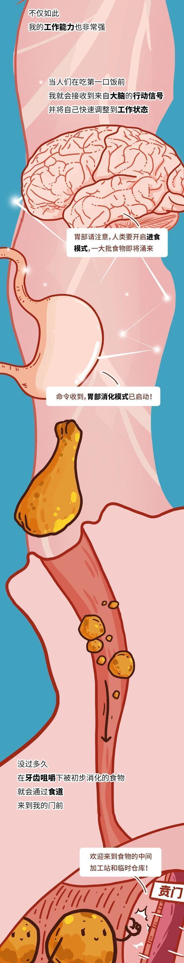 胃的自述：求求你们别再吃了，放过我吧（漫画）