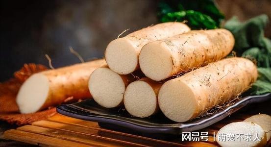 肠胃的“修复器”公布，不是南瓜，常吃胃会“感谢你”