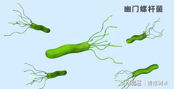 肠胃的“修复器”已公布，并非南瓜，平时多吃，胃或会“感谢”你