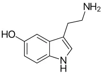 肠胃不好，压力惹的祸