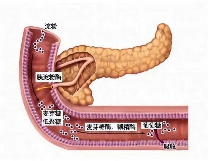 肠胃不好，压力惹的祸