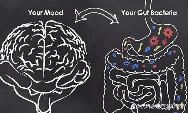 控制你的，不仅是你的大脑，还有你的肠胃