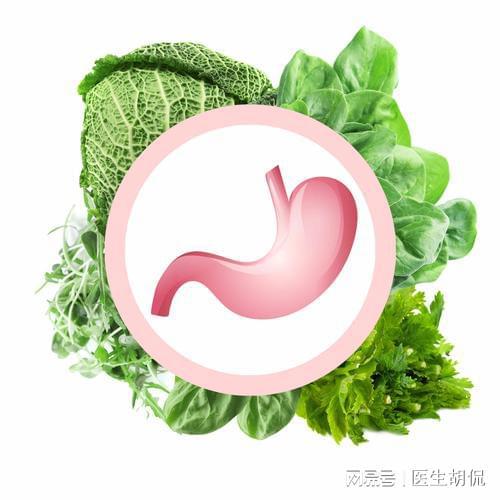 这些食物竟是“天然养胃片”，胃不好的人不妨常吃，远离胃病困扰