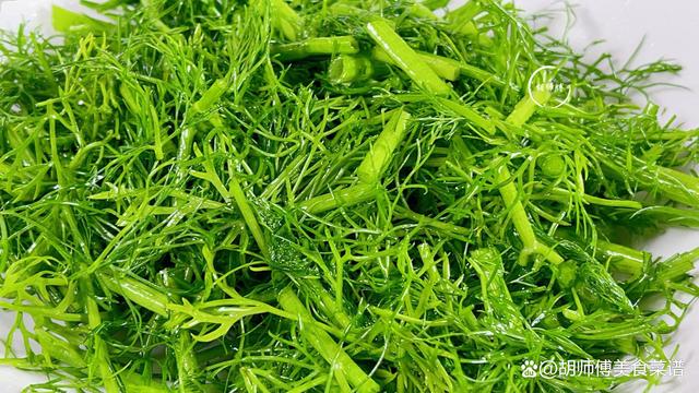 胃不好不要怕,冬天多吃这菜,健胃理气又驱寒,肠胃越吃越健康