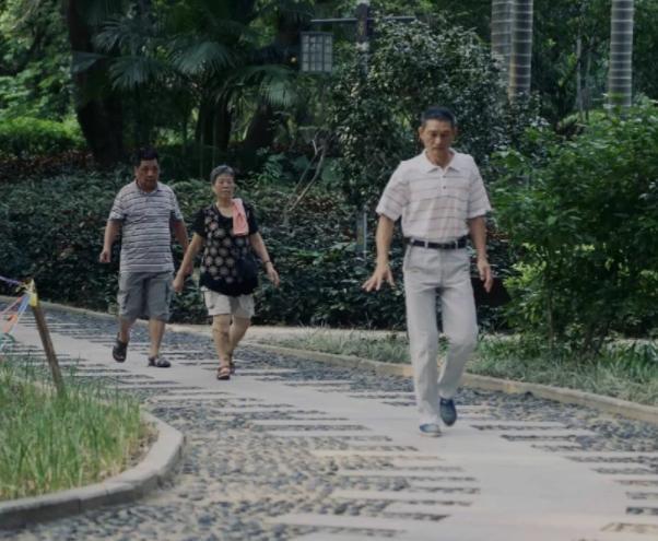 经常散步好不好？医生：65岁以上的老人，散步时或需注意5点
