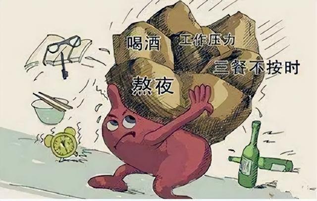 肠胃不好不要担心，做到这6点，肠胃会越养越好