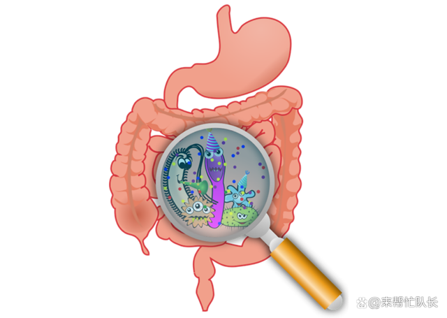 胃肠不适，应该如何积极保护胃肠道健康、适当控制饮食呢？