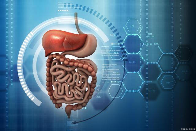 经常吃冷饭降血糖、有利于肠胃健康这一说法有没有科学依据？