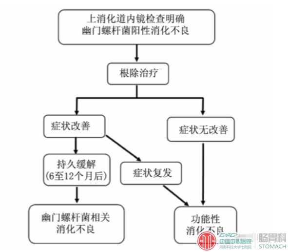 消化不良与慢性浅表性胃炎究竟是什么关系