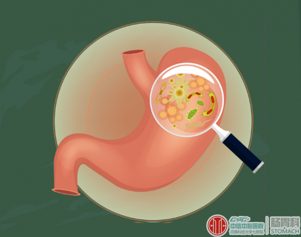 急性肠胃炎：快速识别症状与科学应对指南